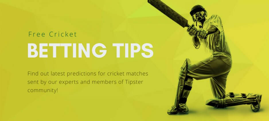 cricket betting tips free